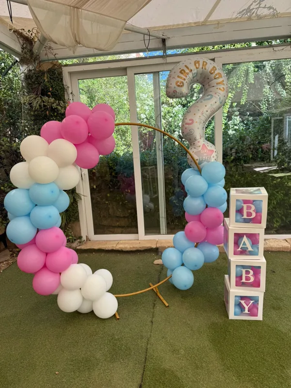 Girl or boy? — PartyMalta celebration setup